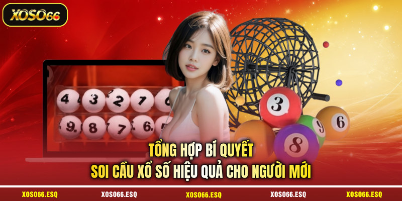 Tổng hợp bí quyết soi cầu xổ số hiệu quả cho người mới 